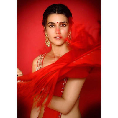 The Mimi Actress Kriti Sanon sizzle in a saree! Pictures inside!